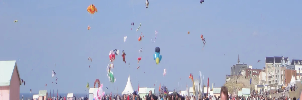 Image Fabricant abri de piscine Berck