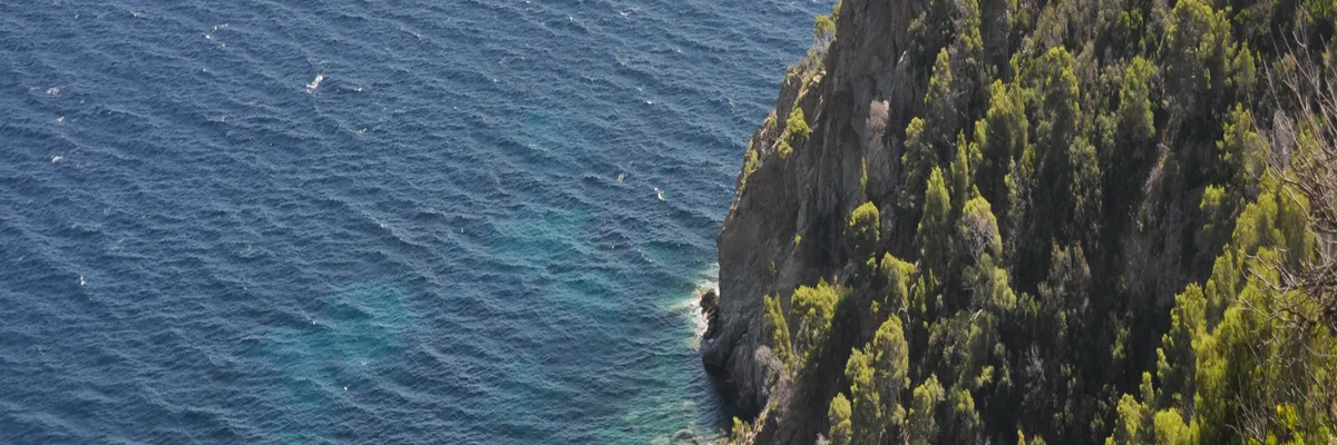 Image Fabricant abri de piscine Cavalaire-sur-Mer