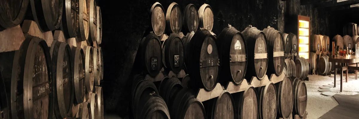 Image Fabricant abri de piscine Cognac