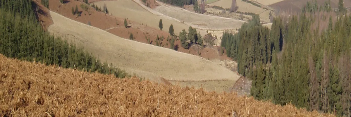 Image Fabricant abri de piscine Creuse