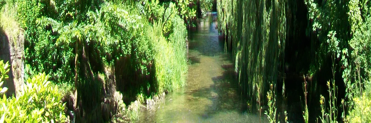 Image Fabricant abri de piscine Gouvieux