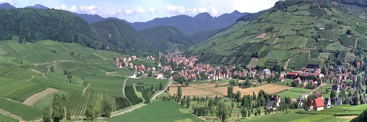 Image Fabricant abri de piscine Grand Est