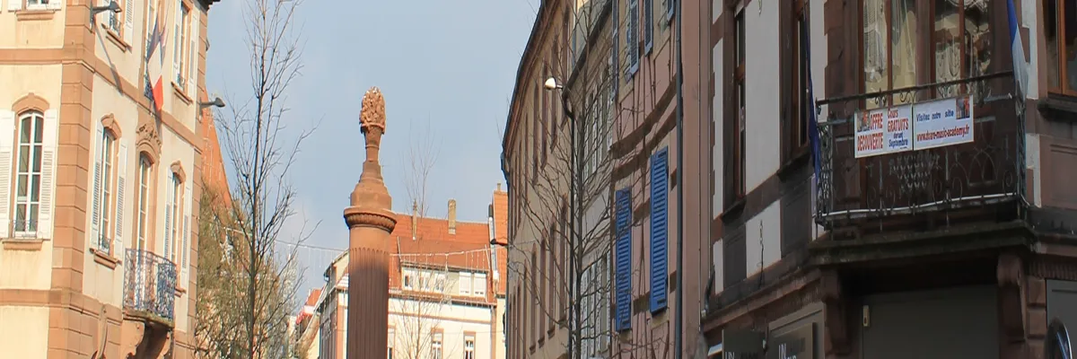 Image Fabricant abri de piscine Haguenau