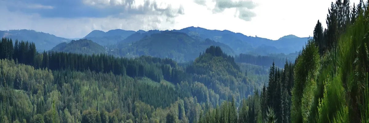 Image Fabricant abri de piscine Haute-Vienne
