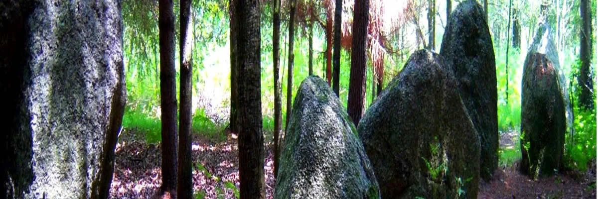 Image Fabricant abri de piscine Languidic