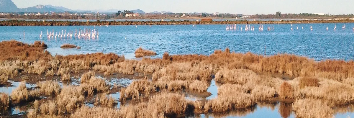 Image Fabricant abri de piscine Lattes
