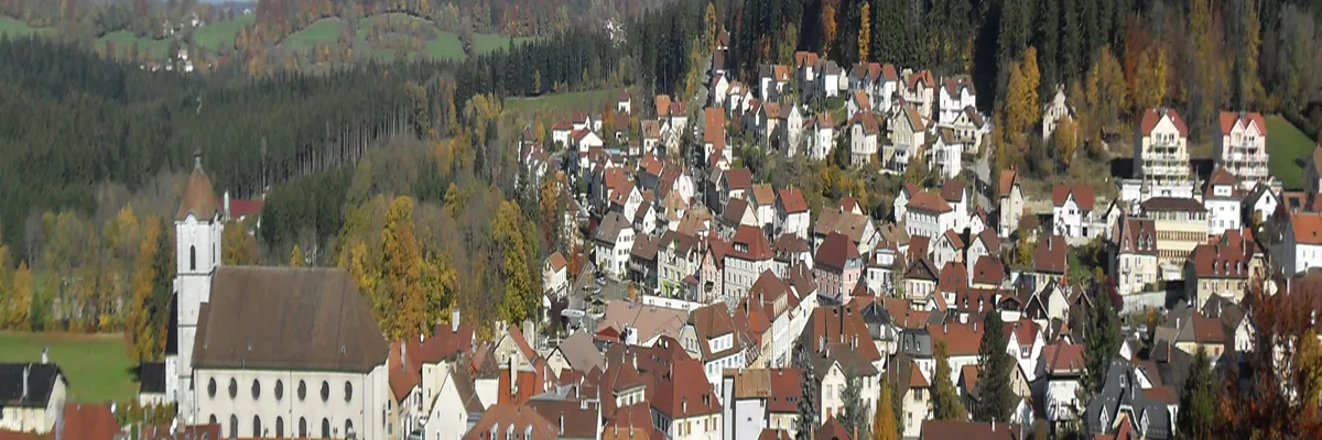 Image Fabricant abri de piscine Maîche