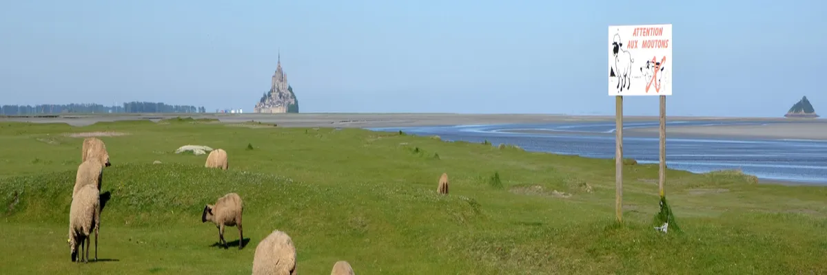 Image Fabricant abri de piscine Manche