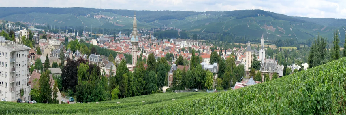 Image Fabricant abri de piscine Marne