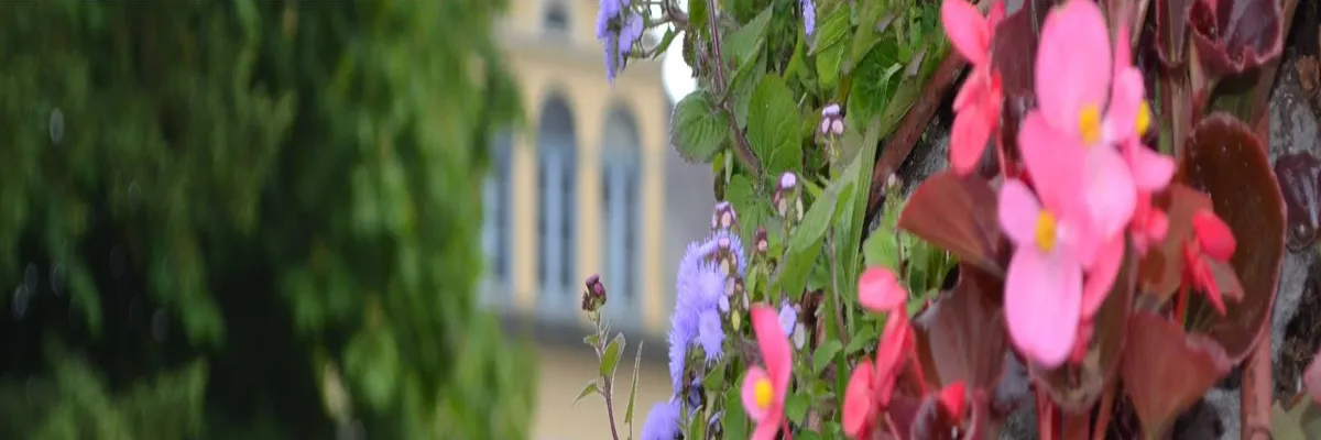 Image Fabricant abri de piscine Saint-Étienne-au-Mont