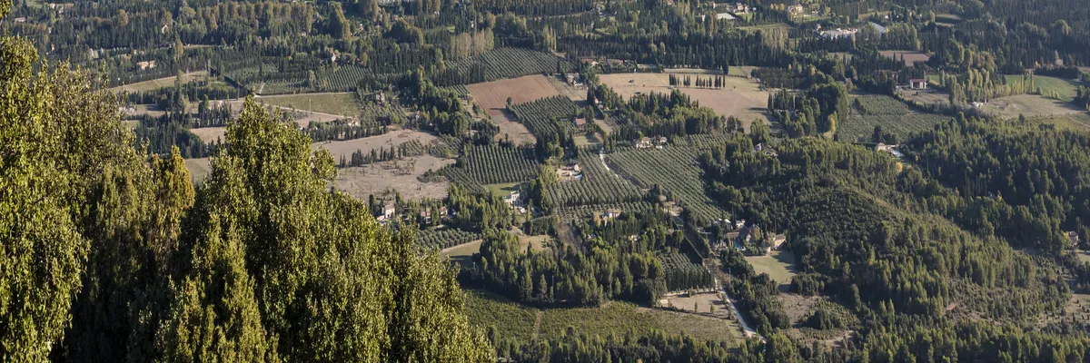 Image Fabricant abri de piscine Saint-Rémy-de-Provence