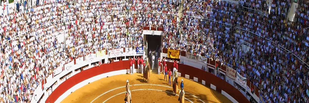 Image Fabricant abri de piscine Vic-Fezensac