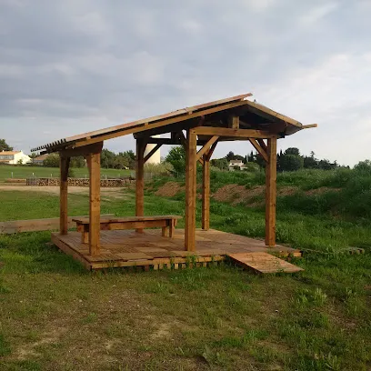 Image de abri-jardin-bois