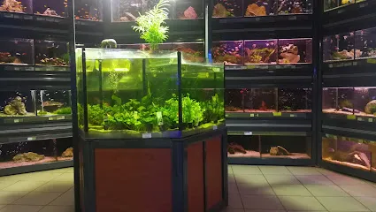 Image de Abri sous roche