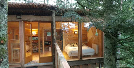 Image de Cabanes dans les arbres Nids des Vosges