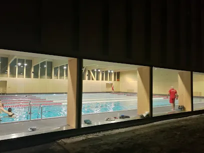 Image de Piscine couverte du Cossy