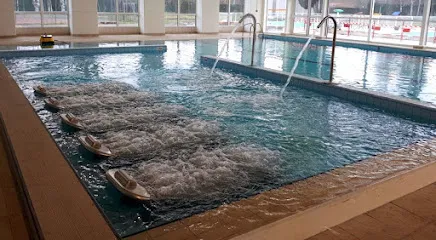 Image de Piscine Louis Fourcade