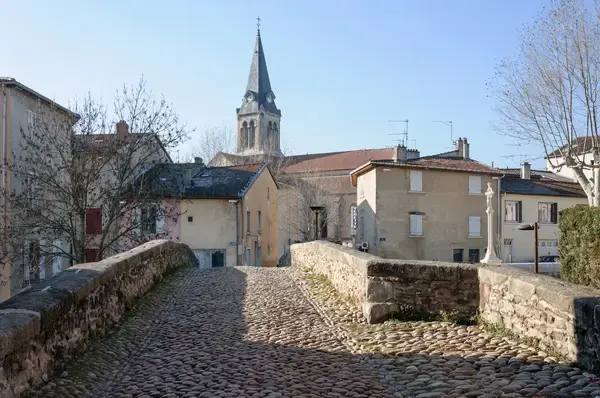 Abri Piscine Amovible Fabricant abri de piscine Brignais