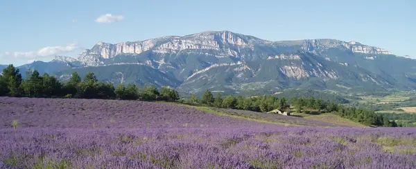Abri Piscine Amovible Fabricant abri de piscine Drôme