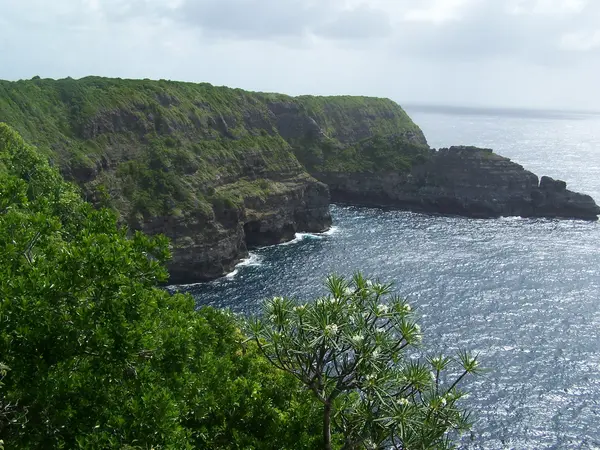 Abri Piscine Amovible Fabricant abri de piscine Guadeloupe