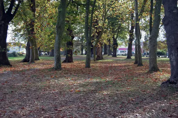 Abri Piscine Amovible Fabricant abri de piscine Idron