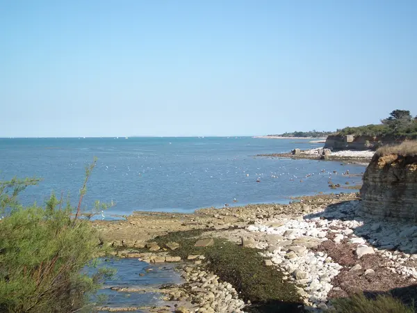 Abri Piscine Amovible Fabricant abri de piscine Nouvelle-Aquitaine