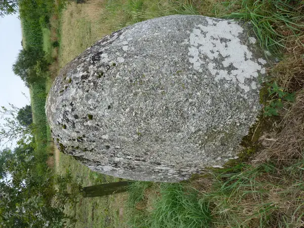 Abri Piscine Amovible Fabricant abri de piscine Plaintel