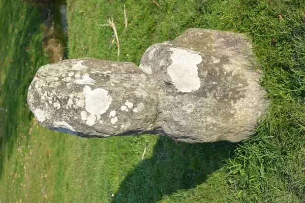 Abri Piscine Amovible Fabricant abri de piscine Prinquiau